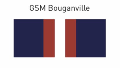 Vinyl Ribbon Sticker-GSM Bouganville